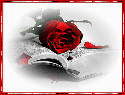 Анимация Красная роза лежащая на страницах раскрытой книги, гифка Красная роза лежащая на страницах раскрытой книги