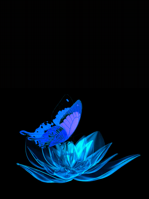 Анимация Порхающая голубая бабочка над вращающимся голубым цветком, на черном фоне, гифка Порхающая голубая бабочка над вращающимся голубым цветком, на черном фоне