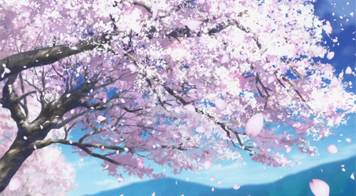 Анимация Слетающие лепестки с весеннего дерева, гифка Слетающие лепестки с весеннего дерева