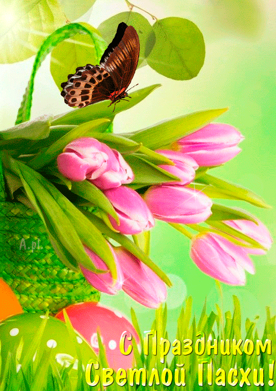 Анимация В плетенной корзиночке лежат розовые тюльпаны, на которых сидит бабочка, рядом с корзинкой лежат пасхальные яйца (С Праздником Светлой Пасхи!), гифка В плетенной корзиночке лежат розовые тюльпаны, на которых сидит бабочка, рядом с корзинкой лежат пасхальные яйца (С Праздником Светлой Пасхи!)