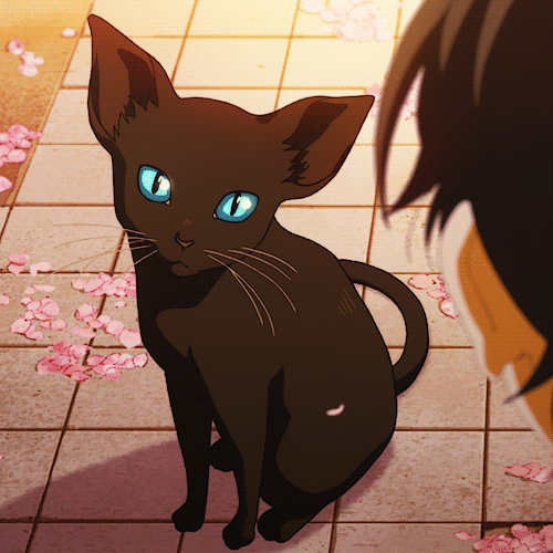 Анимация Синеглазый кот из аниме Shigatsu wa Kimi no Uso / Твоя апрельская ложь, гифка Синеглазый кот из аниме Shigatsu wa Kimi no Uso / Твоя апрельская ложь