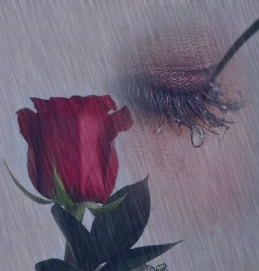 Анимация Девушка со слезой на ресницах и роза под дождем с молнией, гифка Девушка со слезой на ресницах и роза под дождем с молнией