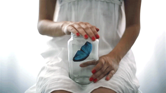 Анимация Девушка держит в руках банку, в которой сидит синяя бабочка, гифка Девушка держит в руках банку, в которой сидит синяя бабочка