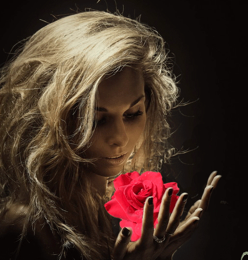 Анимация Девушка подбрасывает на руке вращающийся цветок розы, гифка Девушка подбрасывает на руке вращающийся цветок розы