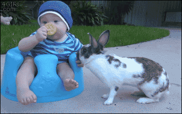 Анимация Кролик отнимает у малыша печенье, а он так и не понимает в чем дело и как жесток этот мир, гифка Кролик отнимает у малыша печенье, а он так и не понимает в чем дело и как жесток этот мир