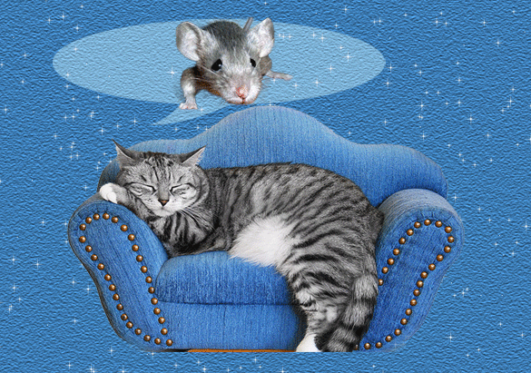 Анимация Полосатая кошка спит на синем диване и ей снится серая мышка, гифка Полосатая кошка спит на синем диване и ей снится серая мышка