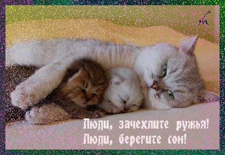 Анимация Кошка обнимает своих котят, охраняя их сон (Люди, зачехлите ружья! Люди, берегите сон!)