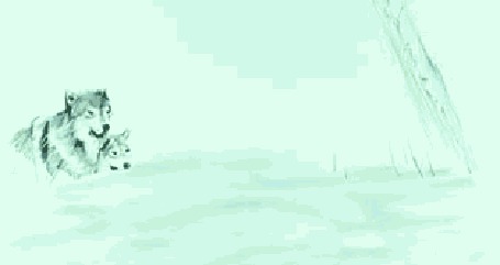 Анимация Рисованные бегущие волки