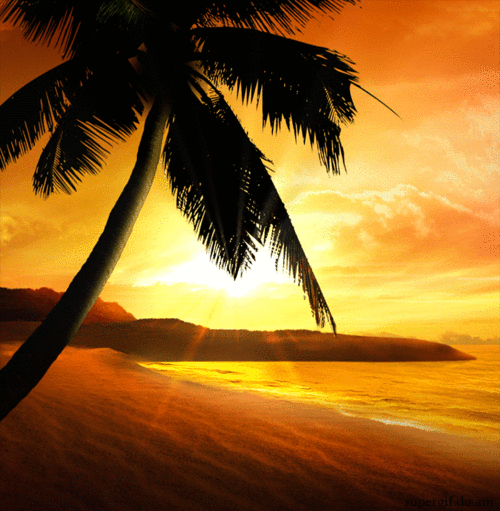 Анимация Пальма на берегу экзотического острова, гифка Пальма на берегу экзотического острова
