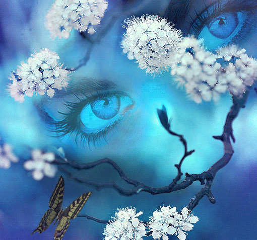 Анимация Цветущая ветка дерева с бабочкой, на фоне синих женских глаз, гифка Цветущая ветка дерева с бабочкой, на фоне синих женских глаз