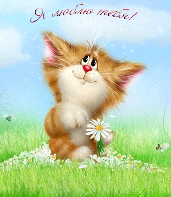 Гиф анимация Влюбленный кот гадает на ромашке среди бабочек на полянке, Я  люблю тебя! sima