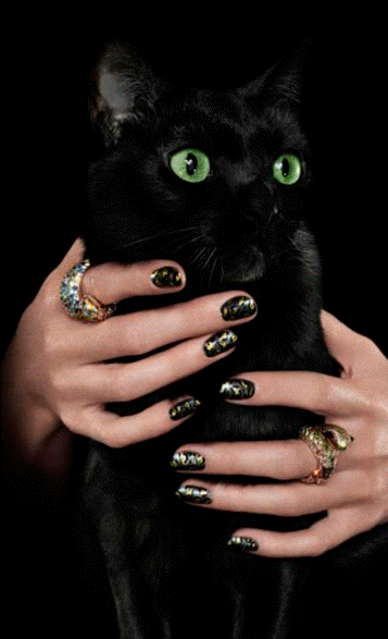 Анимация Женские руки с украшениями на пальцах, держат черную кошку с желтыми глазами, гифка Женские руки с украшениями на пальцах, держат черную кошку с желтыми глазами