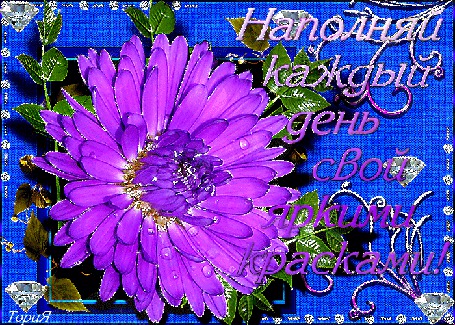 Анимация Сиреневый цветок с надписью наполняй каждый день свой яркими красками
