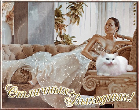 Анимация Девушка в золотом вечернем платье на диване рядом с белым котом в интерьере комнаты (Отличных Выходных!) Lamerna