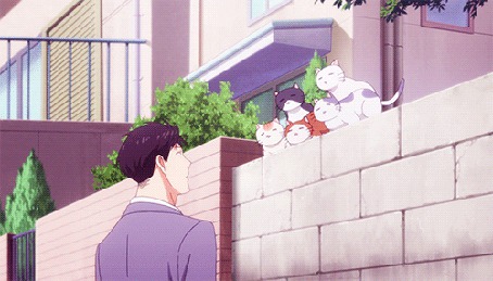 Анимация Кошки прыгают с забора на голову Умэтаро Нозаки / Umetarou Nozaki из аниме Ежемесячное седзе Нозаки-куна / Gekkan Shoujo Nozaki-kun