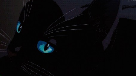Анимация Черный кот появляется на клавиатуре рояля, отрывок из аниме Shigatsu wa Kimi no Uso / Твоя апрельская ложь