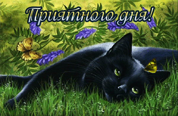 Анимация Черный котенок лежит на травке на фоне цветов и бабочек / Приятного дня/, гифка Черный котенок лежит на травке на фоне цветов и бабочек / Приятного дня/