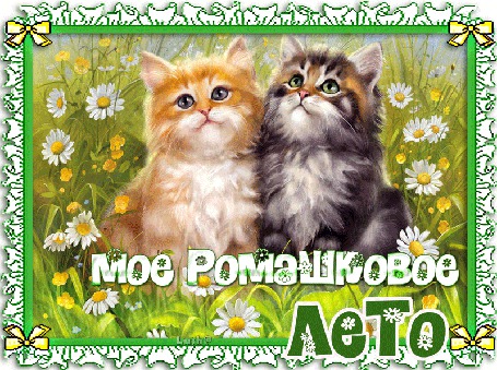 Анимация Два котенка, рыжий и серый сидят среди ромашек в поле (Мое ромашковое лето) Luch@