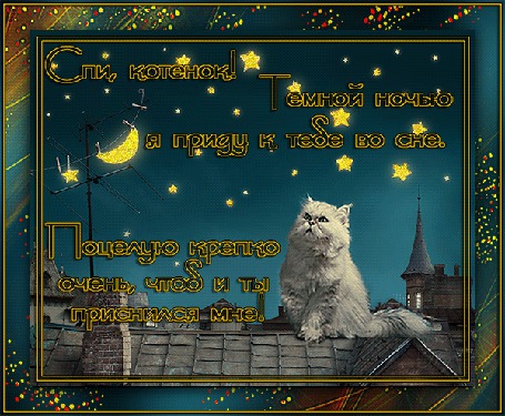 Анимация Белый кот сидит на крыше на фоне неба, луны, звезд (Спи, котенок! Темной ночью я приду к тебе во сне, Поцелую крепко очень, чтоб и ты приснился мне!)