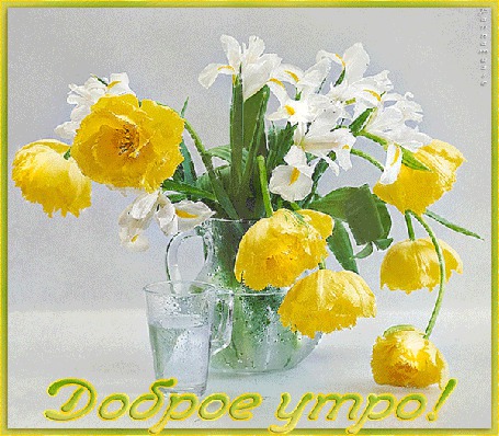 Анимация Кувшинчик с цветами и стакан с водой / Доброе утро/