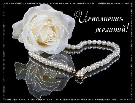 Анимация Нитка белого жемчуга с белой розой в отражении на черном фоне (Исполнения желаний!) Галина Шумилова