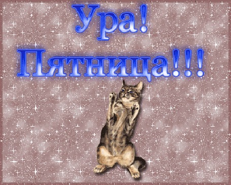 Анимация Кошка танцует / Ура, пятница/