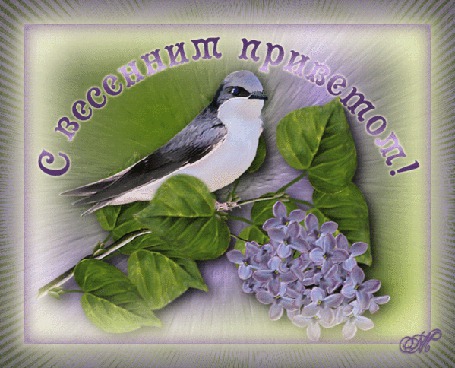Анимация Ласточка сидит на веточке сирени / С весенним приветом/