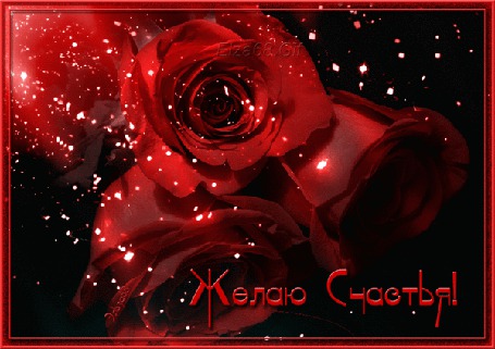 Анимация Красные розы на черном фоне (Желаю Счастья!)