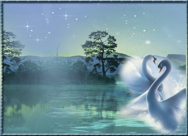 Анимация Два влюбленных белых лебедя в пруду на фоне природы, Lamerna, гифка Два влюбленных белых лебедя в пруду на фоне природы, Lamerna