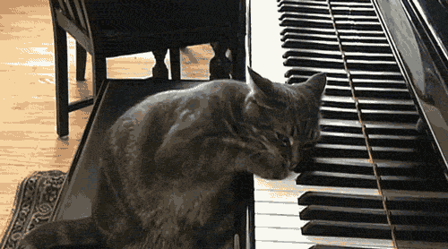 Гиф анимация Кот Бетховен играет на рояле