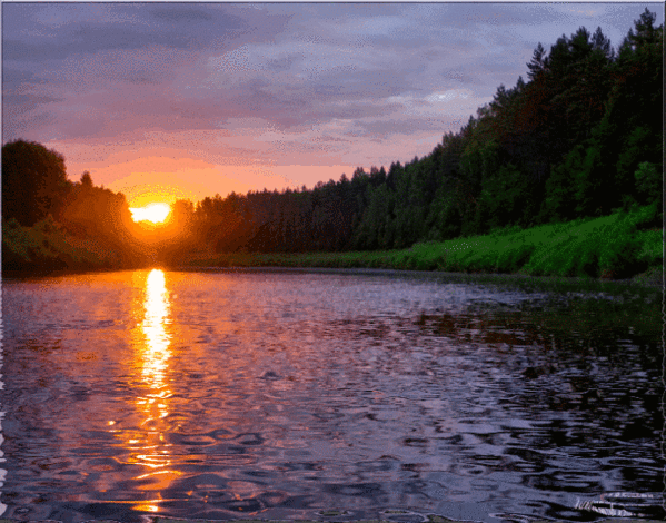 Анимация По берегам реки расположен лес, на фоне заходящее солнце, которое отражается в воде, гифка По берегам реки расположен лес, на фоне заходящее солнце, которое отражается в воде