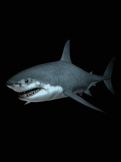 Анимация Акула на темном фоне с открытой пастью, гифка Акула на темном фоне с открытой пастью