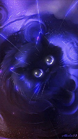 Анимация Черный кот с фиолетовым оттенком, Akela 73