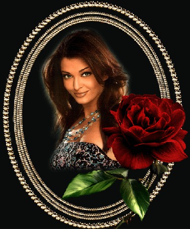 Анимация Индийская фотомодель и актриса Айшвария Рай / Aishwarya Rai в золотой рамочке на фоне красной розы