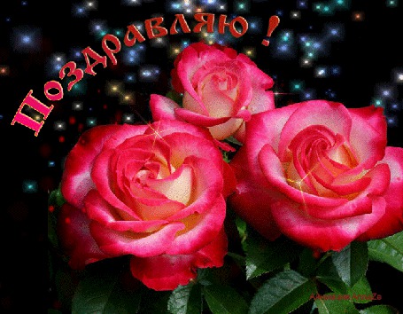 Анимация Красные розы / Поздравляю / Анна ЗЕ/