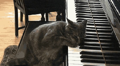 Анимация Кот Бетховен играет на рояле