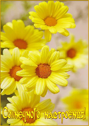 Анимация На картинке с желтыми блестящими ромашками надпись Солнечного настроения!, гифка На картинке с желтыми блестящими ромашками надпись Солнечного настроения!