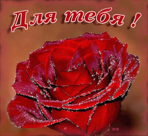 Анимация Красная роза / для тебя/, гифка Красная роза / для тебя/
