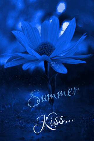 Анимация Ромашка на голубом фоне под дождем (Summer Kiss / Поцелуй лета), гифка Ромашка на голубом фоне под дождем (Summer Kiss / Поцелуй лета)