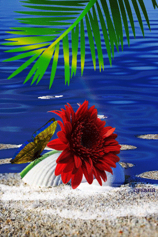 Анимация Цветок на фоне моря ракушки ветки пальмы и бабочки, гифка Цветок на фоне моря ракушки ветки пальмы и бабочки