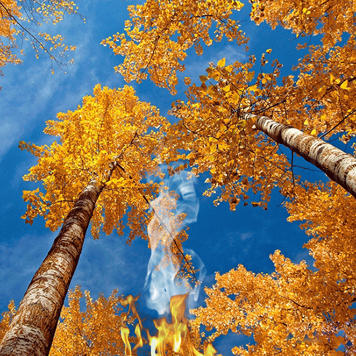Анимация Осенние желтые листья падают в костер, гифка Осенние желтые листья падают в костер