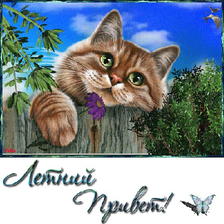 Анимация Котенок на фоне природы голубого неба птиц и бабочки/летний привет/автор лейла