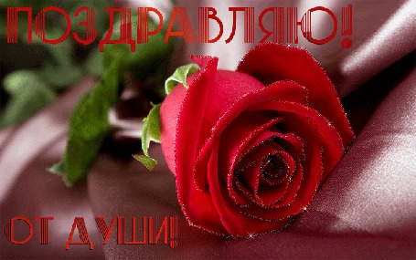 Анимация Красная роза (Поздравляю от души)