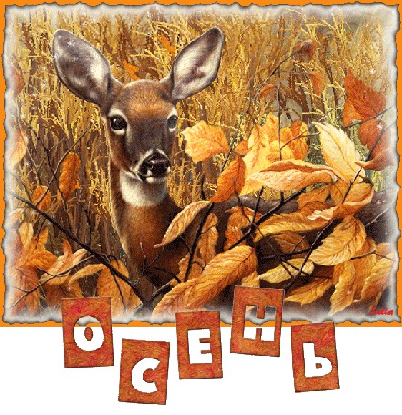 Анимация Олененок на фоне желтых листьев (Осень)