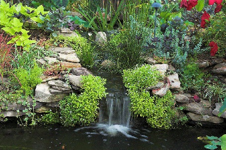 Анимация Ручей сливается с природой