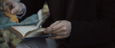 Анимация Парень кладет осенний листок в книгу