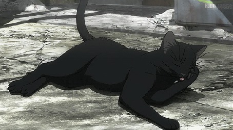 Анимация Черная кошка лежа лижет лапу