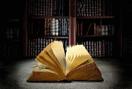 Анимация Из книги появляется цветок
