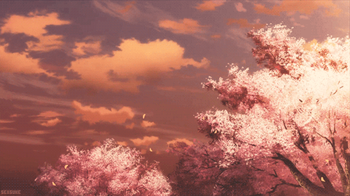 Анимация Ветер срывает и несет к грозовому небу лепестки с цветущих деревьев сакуры, гифка Ветер срывает и несет к грозовому небу лепестки с цветущих деревьев сакуры