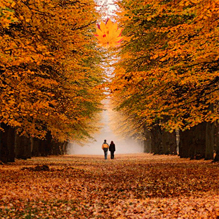 Пара В Осеннем Парке Фото